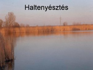 Haltenyszts Tgazdasg 24000 ha halast 2004 llami cgek