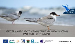 LIFE TERNS PROJEKTO VEIKL TERITORIJ EKOSISTEM PASLAUG VERTINIMAS