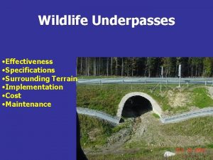 Wildlife Underpasses Effectiveness Specifications Surrounding Terrain Implementation Cost