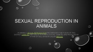 SEXUAL REPRODUCTION IN ANIMALS SEXUAL REPRODUCTION ENCOMPASSES THE