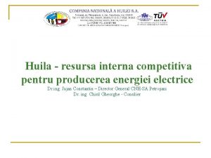 Huila resursa interna competitiva pentru producerea energiei electrice