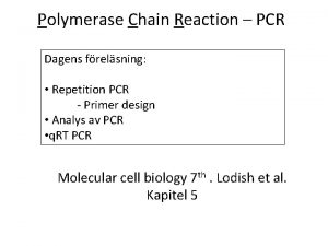 Polymerase Chain Reaction PCR Dagens frelsning Repetition PCR