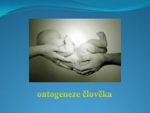 ontogeneze lovka Ontogeneze lovka vvoj lovka od poet