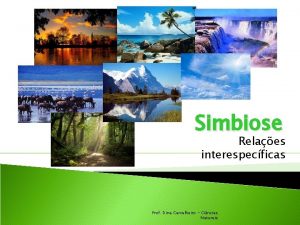 Simbiose Relaes interespecficas Prof Dina Carvalheiro Cincias Naturais