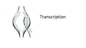 Transcription Central dogma of life The central dogma