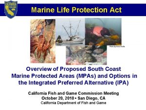 Marine Life Protection Act Photo by Dave Rudie