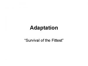 Adaptation Survival of the Fittest Adapting to the