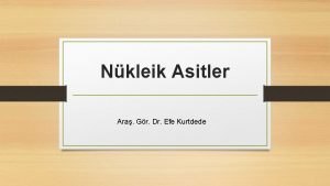 Nkleik Asitler Ara Gr Dr Efe Kurtdede DNA