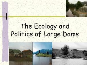 The Ecology and Politics of Large Dams Brief