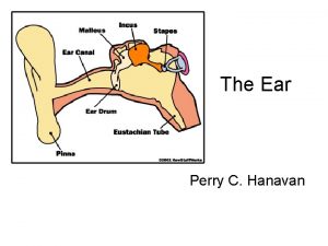 The Ear Perry C Hanavan Outer Ear Peripheral