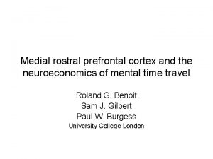 Medial rostral prefrontal cortex and the neuroeconomics of
