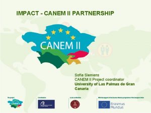 IMPACT CANEM II PARTNERSHIP Sofa Siemens CANEM II