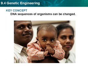 9 4 Genetic Engineering KEY CONCEPT DNA sequences