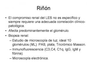 Rin El compromiso renal del LES no es