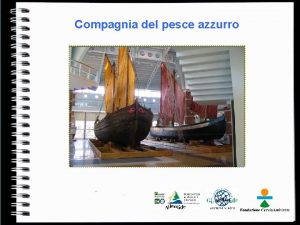 Compagnia del pesce azzurro DOVE Voi andrete qui