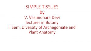 SIMPLE TISSUES by V Vasundhara Devi lecturer in