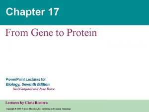 Chapter 17 From Gene to Protein Power Point