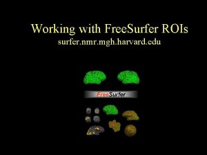 Working with Free Surfer ROIs surfer nmr mgh