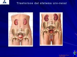 Dr Alberto Medina Chanona Pediatra Integral IVU Presencia