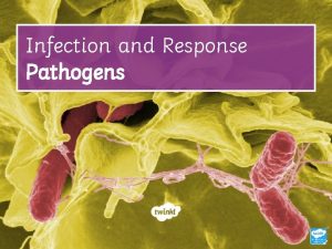 Infection and Response Pathogens Communicable and Non Communicable