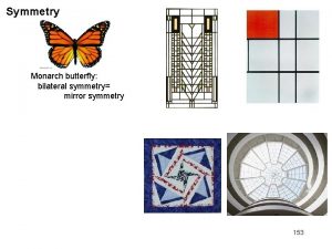 Symmetry Monarch butterfly bilateral symmetry mirror symmetry 153