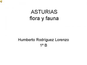 ASTURIAS flora y fauna Humberto Rodrguez Lorenzo 1