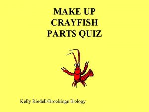 MAKE UP CRAYFISH PARTS QUIZ Kelly RiedellBrookings Biology