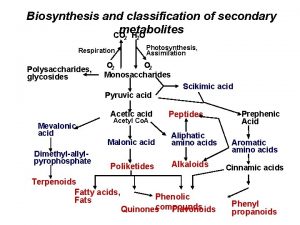 Biosynthesis and classification of secondary metabolites CO H