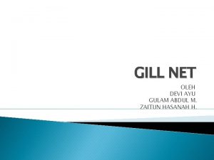 GILL NET OLEH DEVI AYU GULAM ABDUL M