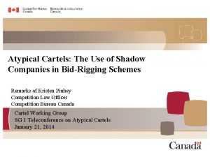 Atypical Cartels The Use of Shadow Companies in