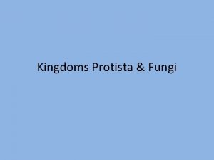 Kingdoms Protista Fungi IV Kingdom Protista A Called