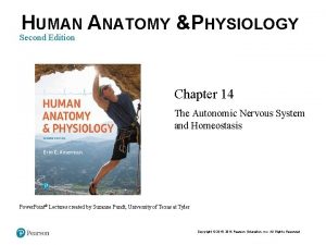 HUMAN ANATOMY PHYSIOLOGY Second Edition Chapter 14 The