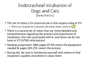 Endotracheal Intubation of Dogs and Cats Anesthetist This