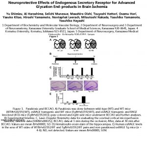 Neuroprotective Effects of Endogenous Secretory Receptor for Advanced