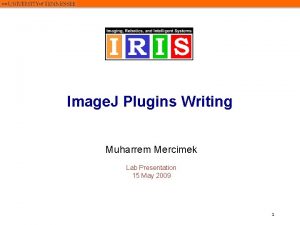 Image J Plugins Writing Muharrem Mercimek Lab Presentation