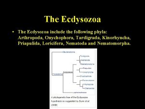 Ecdysozoa