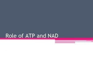 Role of ATP and NAD Energy Carriers ATP