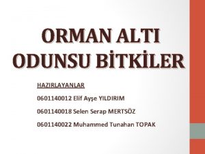 ORMAN ALTI ODUNSU BTKLER HAZIRLAYANLAR 0601140012 Elif Aye