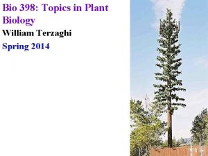 Bio 398 Topics in Plant Biology William Terzaghi