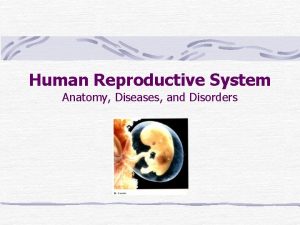 Human Reproductive System Anatomy Diseases and Disorders Battle