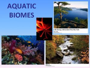 AQUATIC BIOMES Biomes Groups of ecosystems with organisms