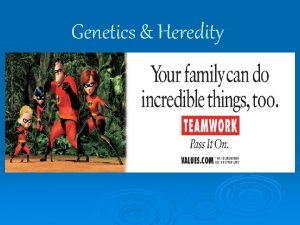 Genetics Heredity Genetics and Heredity TF Questions T