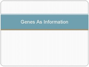 Genes As Information Alleles What alleles you have