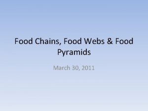 Food Chains Food Webs Food Pyramids March 30