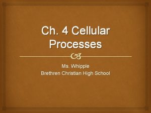 Ch 4 Cellular Processes Ms Whipple Brethren Christian