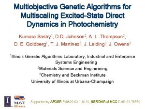 Multiobjective Genetic Algorithms for Multiscaling ExcitedState Direct Dynamics