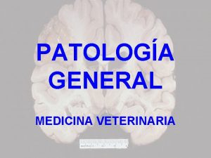 PATOLOGA GENERAL MEDICINA VETERINARIA CONCEPTOS BSICOS Es el