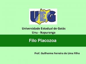 Universidade Estadual de Gois Unu Itapuranga Filo Placozoa