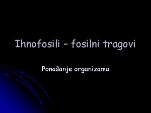 Ihnofosili fosilni tragovi Ponaanje organizama There is no