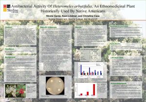 Antibacterial Activity Of Heteromeles arbutifolia An Ethnomedicinal Plant